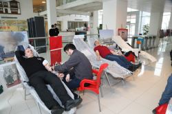 Çekmeköy Belediye Personelinden Kan Bağışı