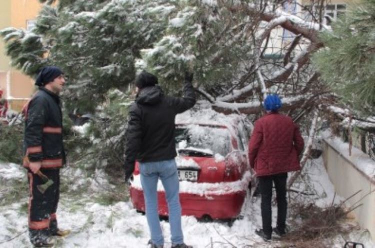 Kar, 50 Yıllık Çam Ağacını Otomobilin Üzerine Devirdi