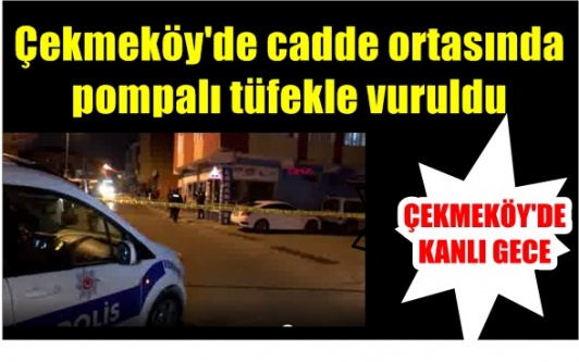 Çekmeköy'de cadde ortasında pompalı tüfekle vuruldu