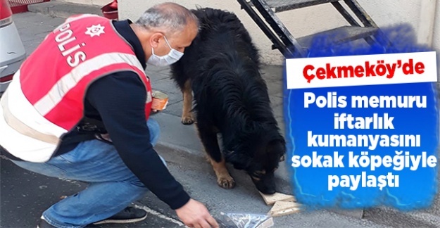 Çekmeköy'de Polis memuru, iftarlık kumanyasını sokak köpeğiyle paylaştı