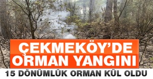 Çekmeköy'de 15 dönümlük orman kül oldu