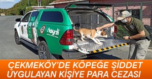 Çekmeköy'de köpeğe şiddet uygulayan kişiye para cezası